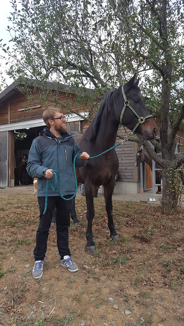 Reittherapie Summertime – Impression 1