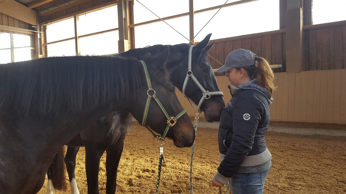 Reittherapie Summertime – Impression 2