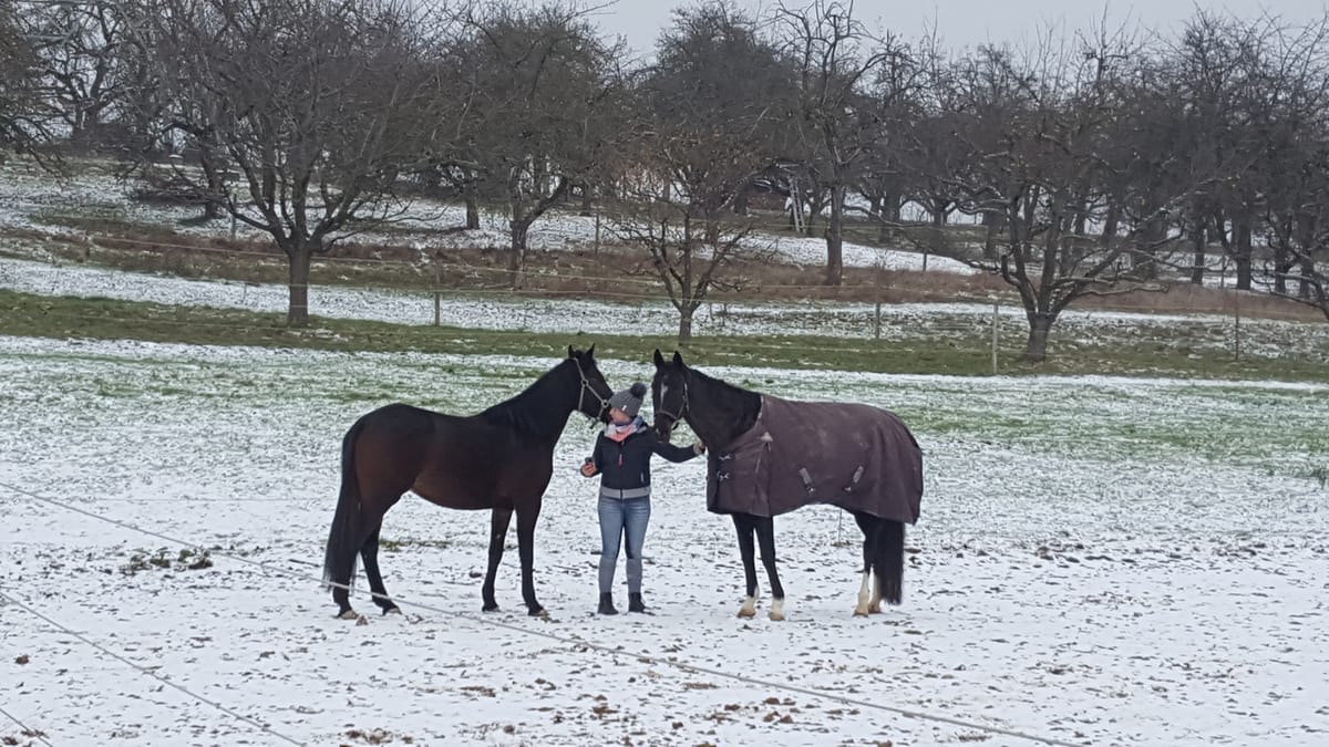 Reittherapie Summertime – Impression 4