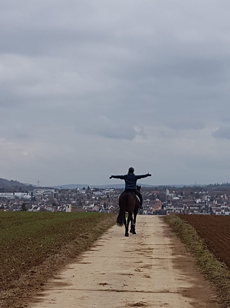 Reittherapie Summertime – Impression 5