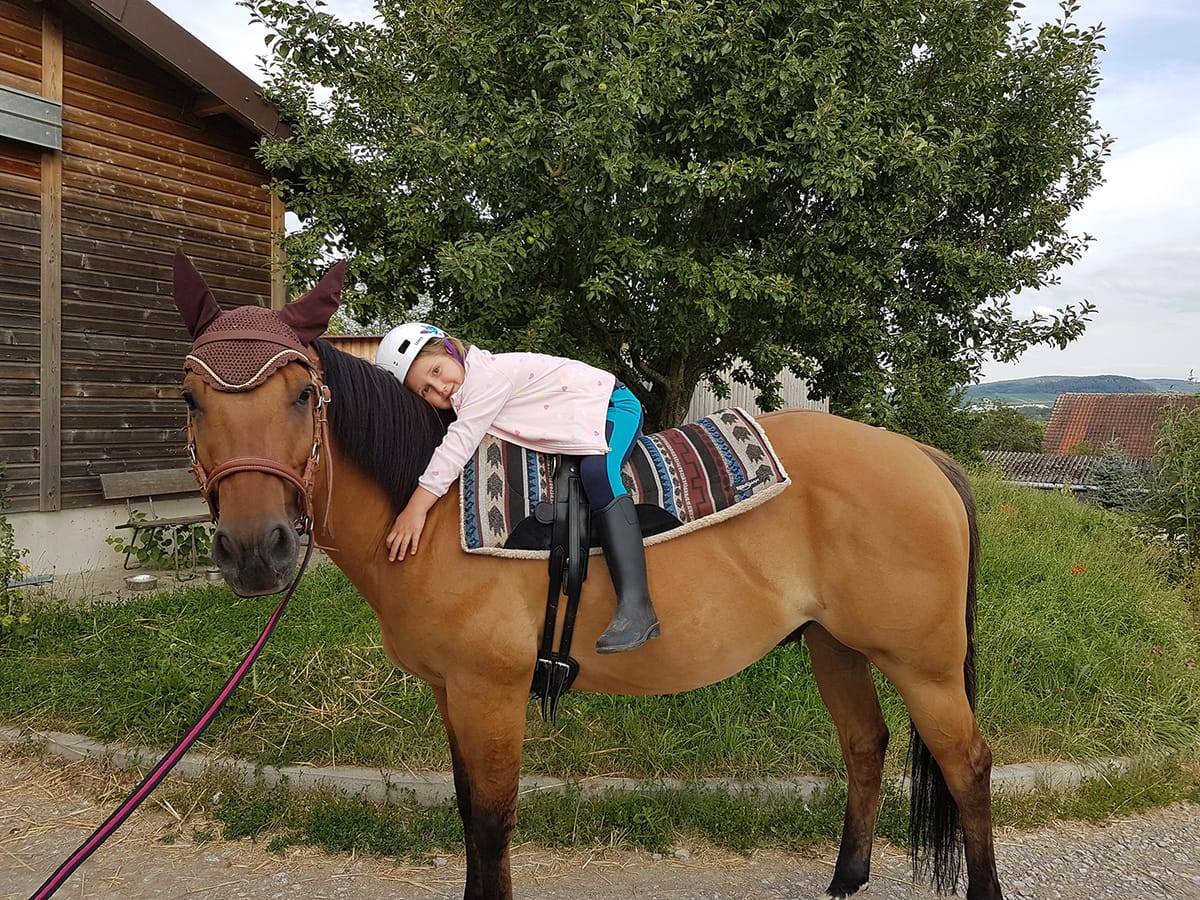 Reittherapie Summertime – Impression 8