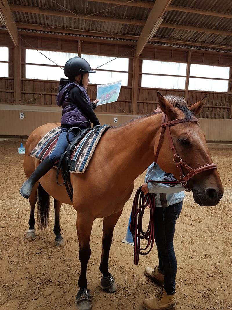 Reittherapie Summertime – Impression 9