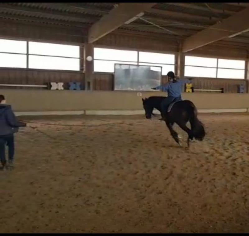 Reittherapie Summertime – Impression 14