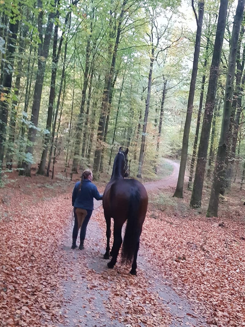 Reittherapie Summertime – Impression 16