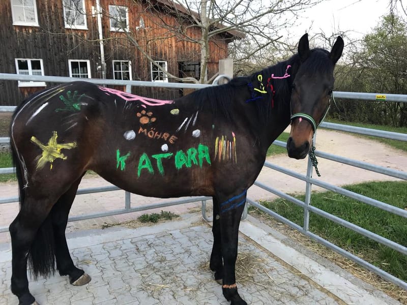 Reittherapie Summertime – Impression 20