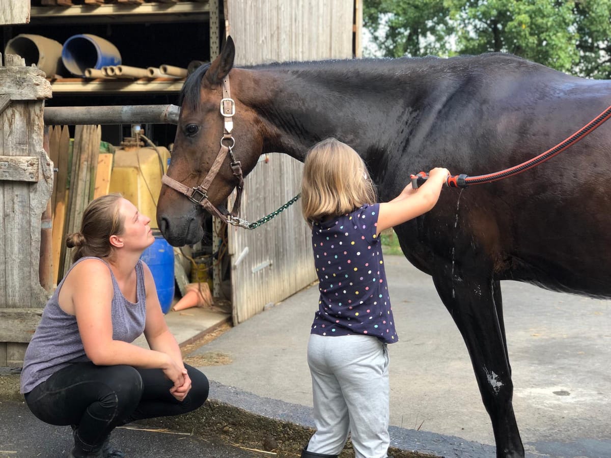 Reittherapie Summertime – Impression 22