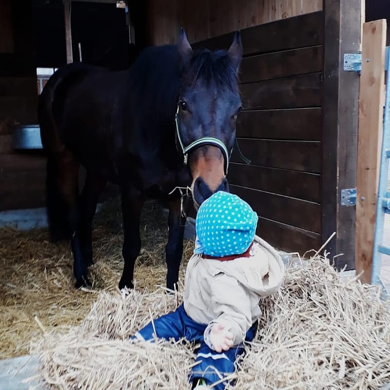 Reittherapie Summertime – Impression 23