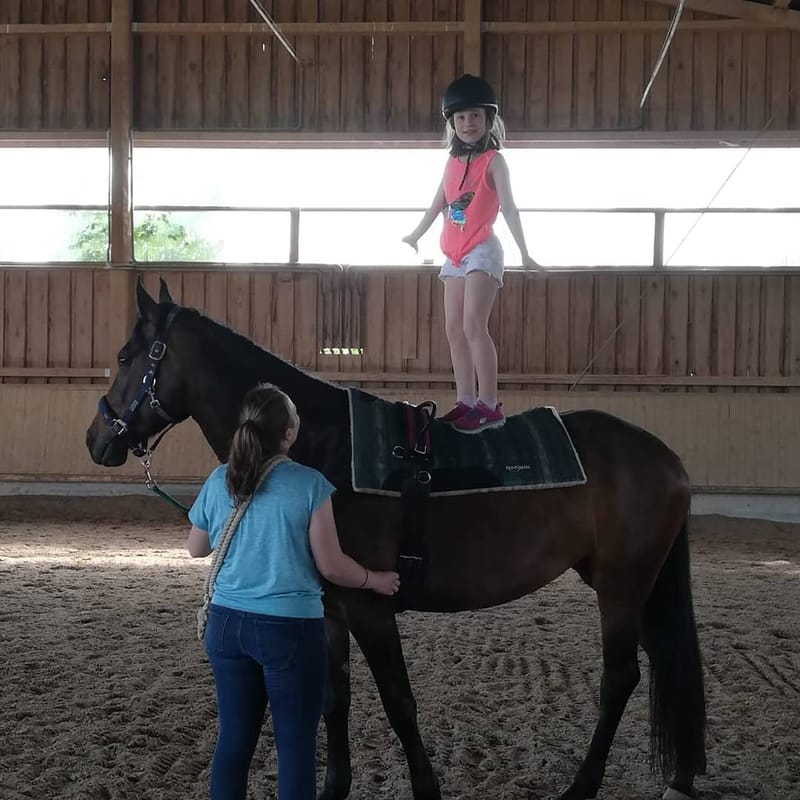 Reittherapie Summertime – Impression 25