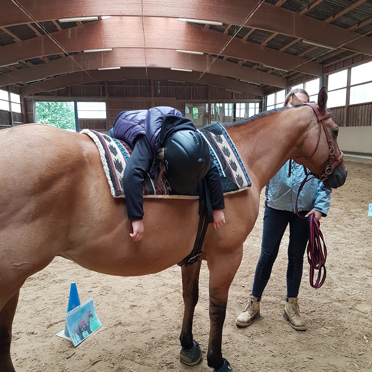 Reittherapie Summertime – Impression 28